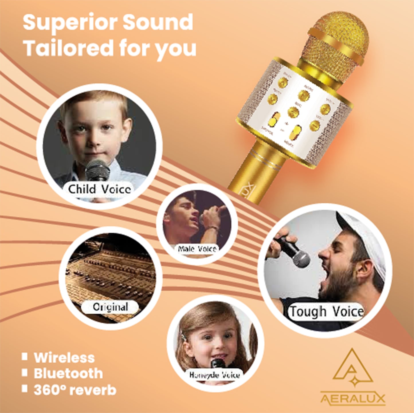 Aeralux Karaoke mic